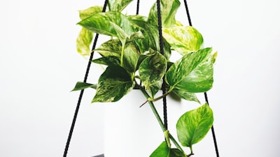 2026世界杯预选赛德国队团队防守与反击集锦视频