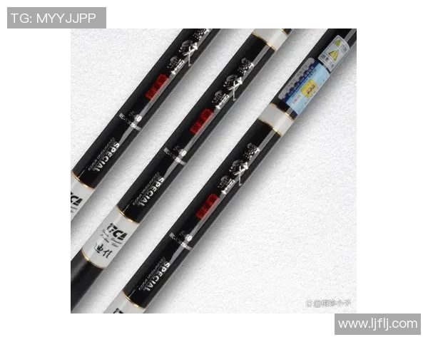 探索渔具创新发展与钓鱼技巧提升的完美结合之道