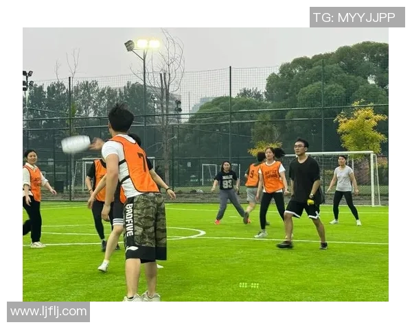 飞盘节奏排行榜揭晓杭州飞盘队荣获第五名成就辉煌
